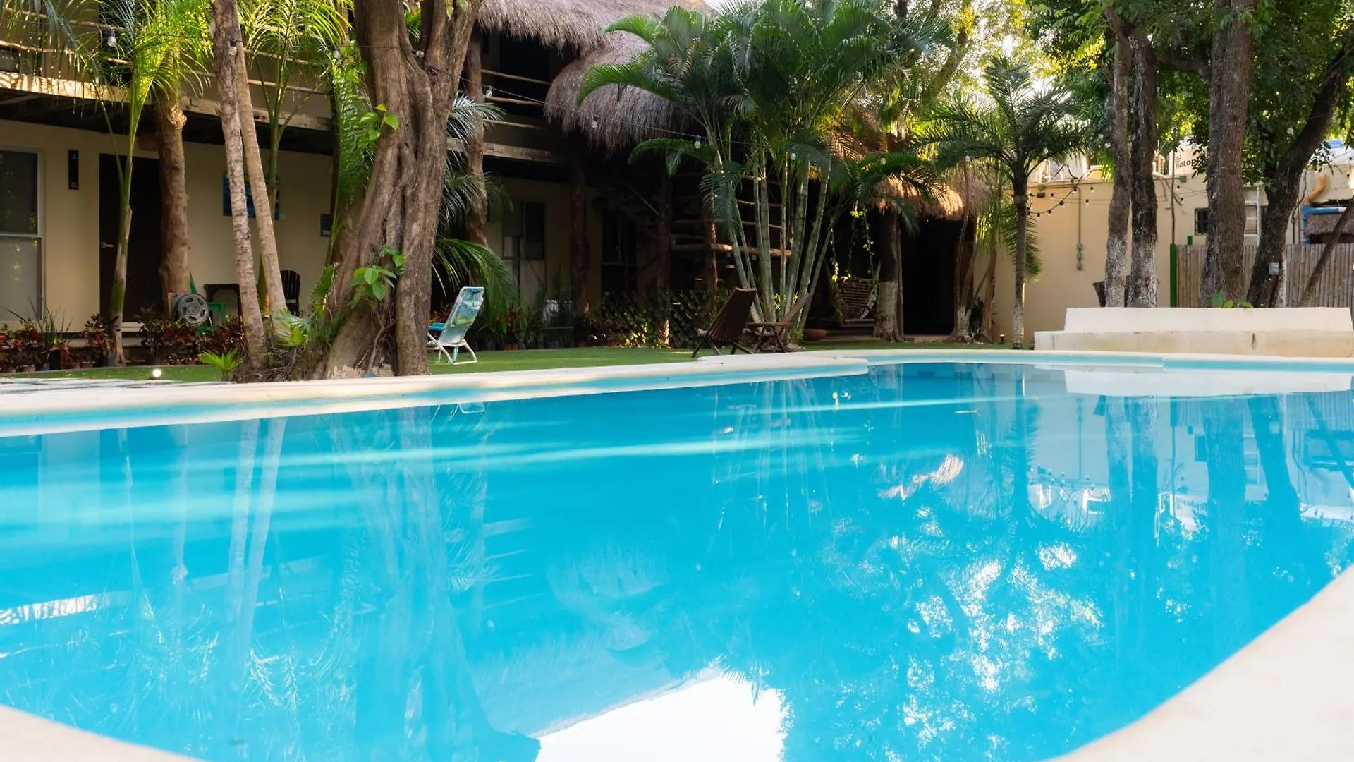 Ammare Hotel Boutique Playa del Carmen