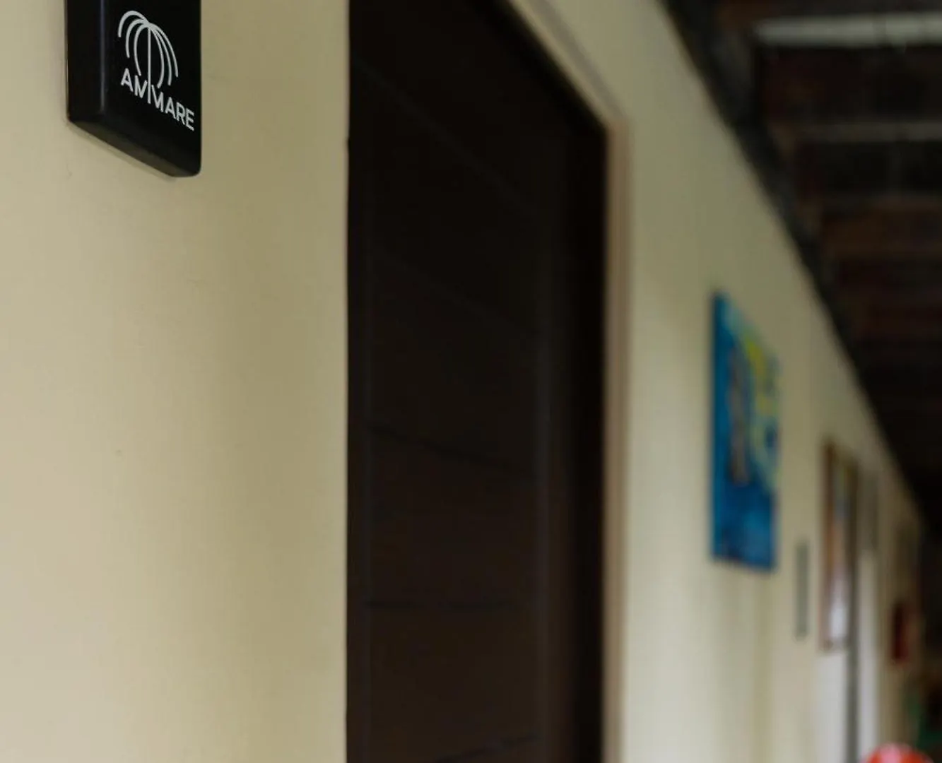 Ammare Hotel Boutique Playa del Carmen
