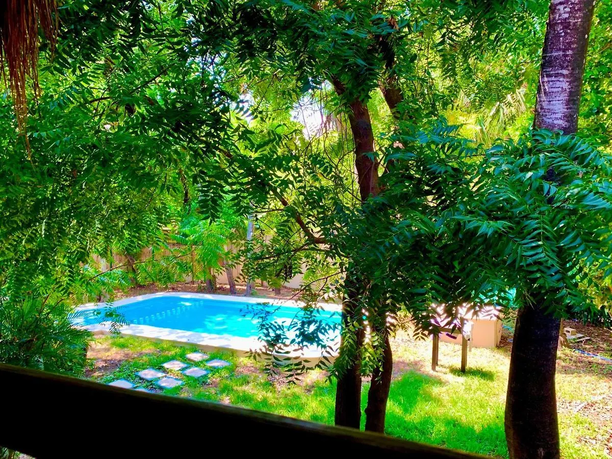 Ammare Hotel Boutique بلايا ديل كارمن