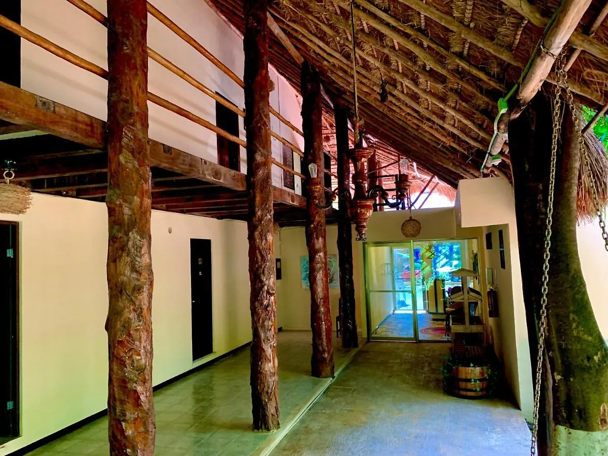 Ammare Hotel Boutique بلايا ديل كارمن