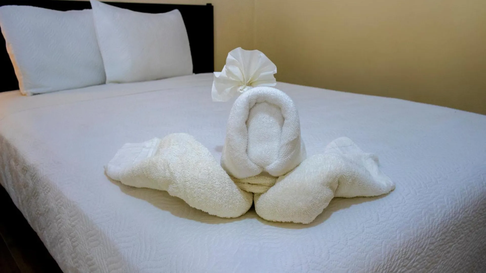 Ammare Hotel Boutique Playa del Carmen